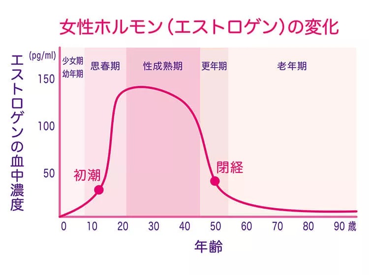 女性ホルモンの減少