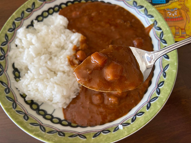 「カレー専門店のインド風カレー」は美味しい？