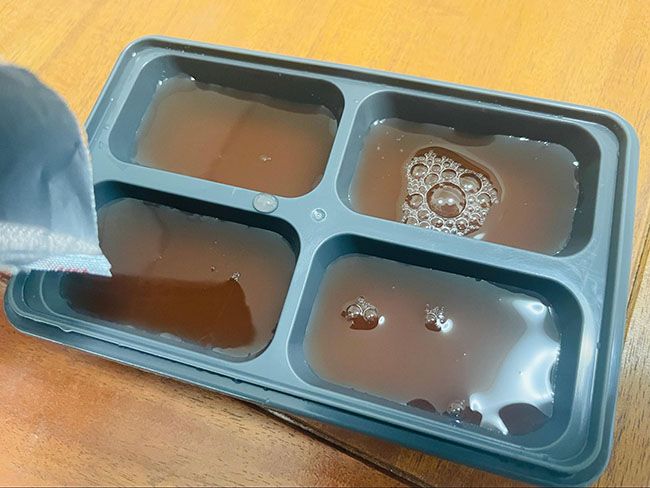 製氷皿に移したもの