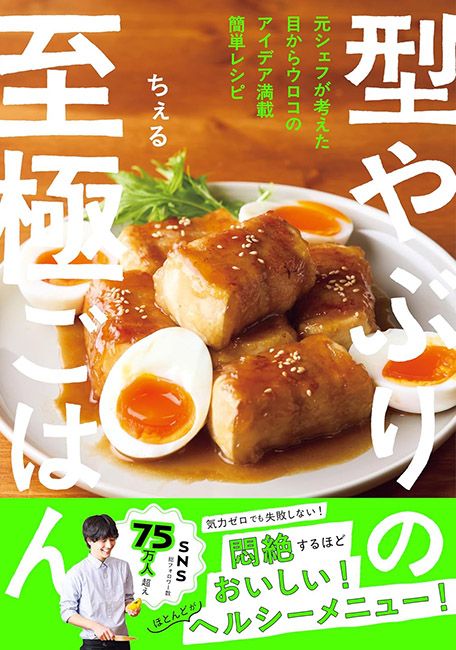 型やぶりの至極ごはん