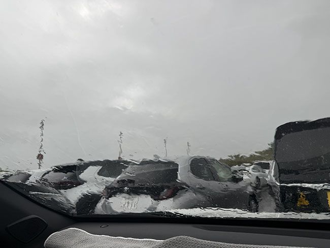 雨宿り